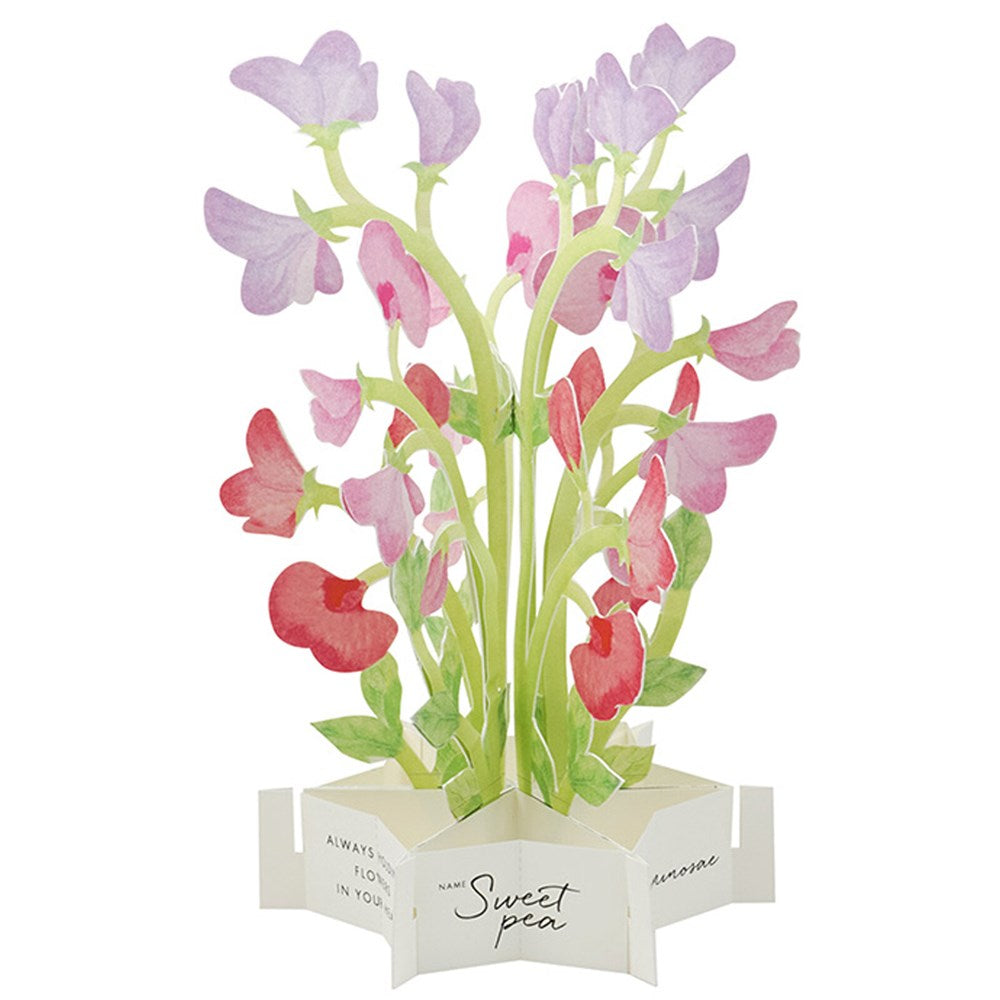 Birthday Blooming Pop-Up Card - Sweetpea