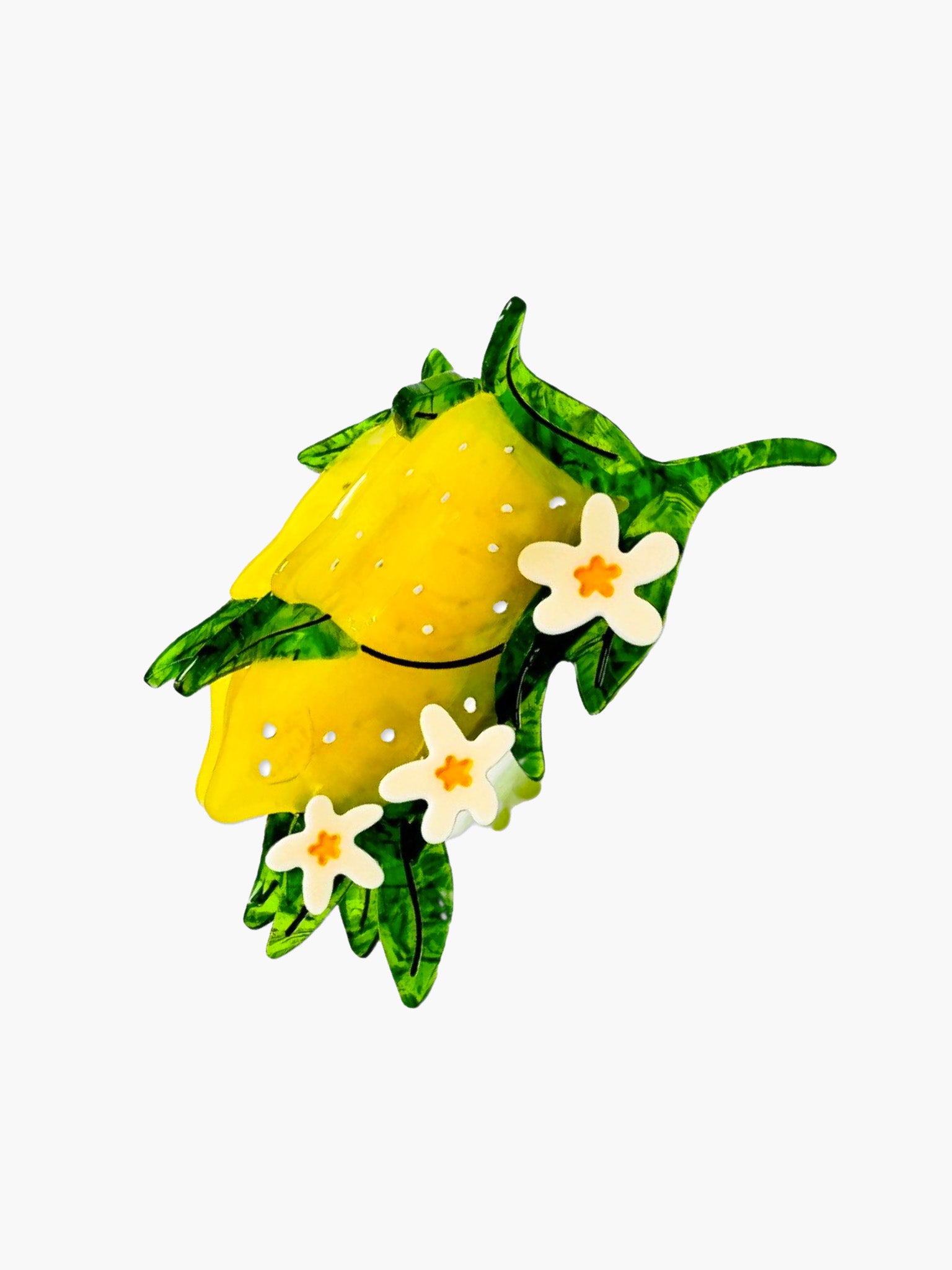 Lemon & Flowers Hair Claw