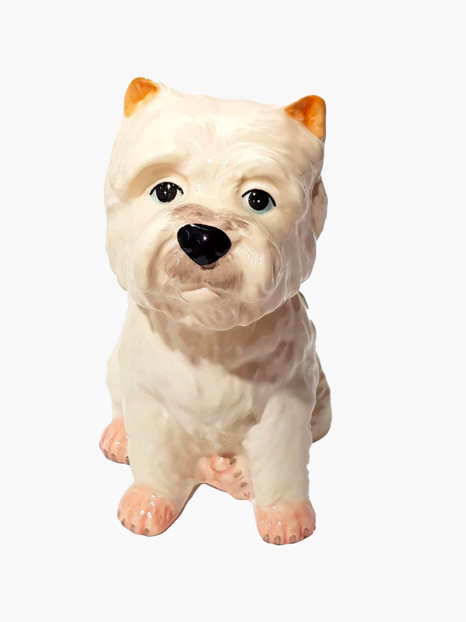 Westie Money Box