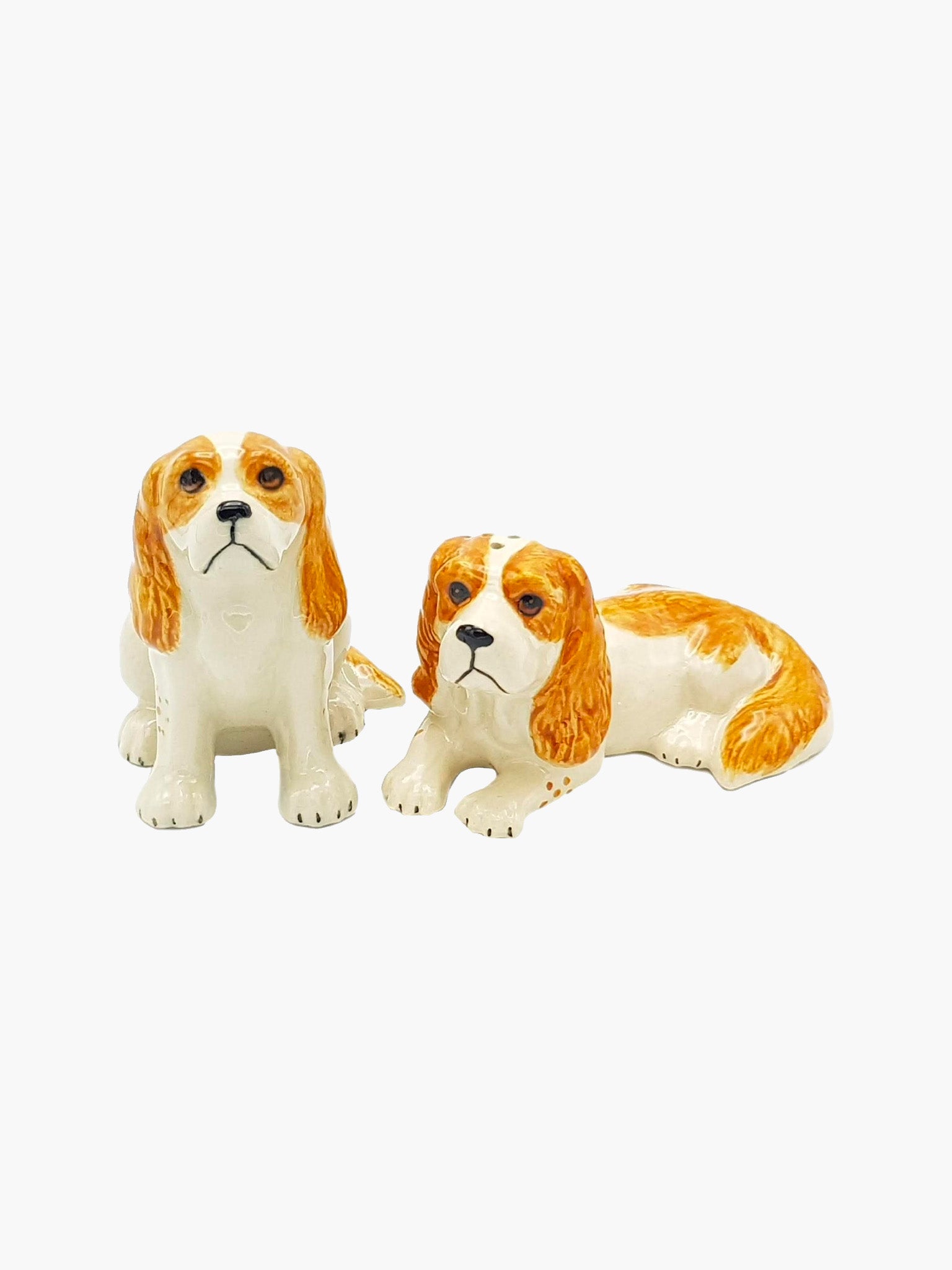 King Charles Salt & Pepper Shaker Set